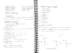 Surveying IES ESE Exam Ace Academy Handwritten Classroom Notes PDF
